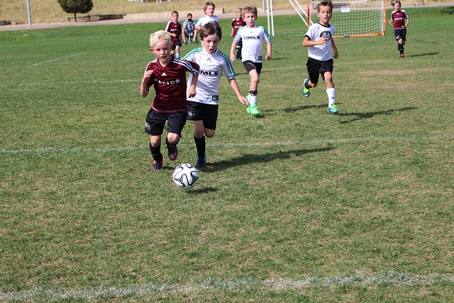 不仅是本菲 不仅是本菲