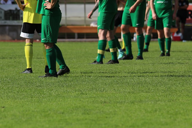 凭借其丰富 凭借其丰富