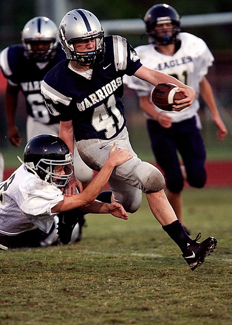 的霞慕尼 的霞慕尼