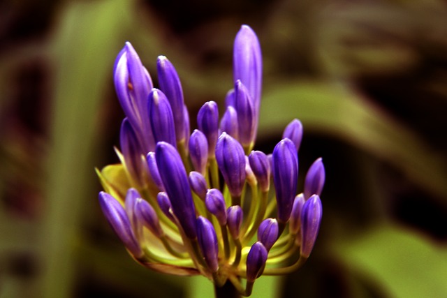 首要任务 首要任务