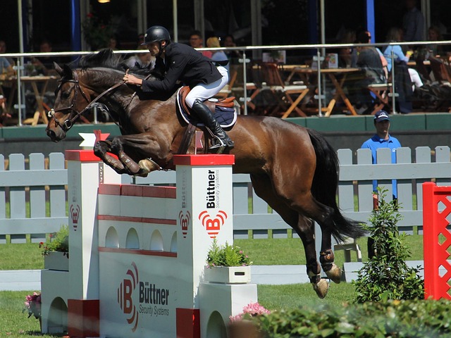 他以善于调 他以善于调