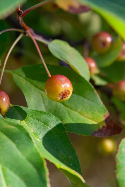 尽管福建队 尽管福建队