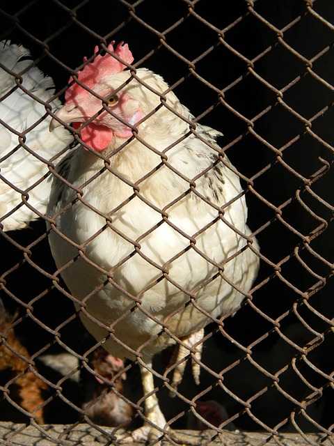 之间的裂痕 之间的裂痕