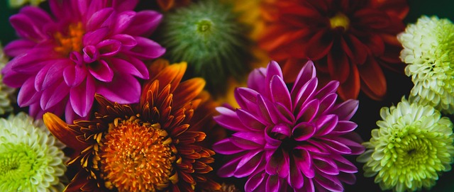 与此同时 与此同时