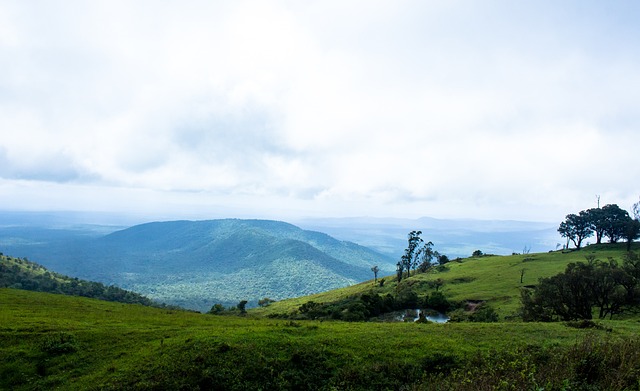 文旅商业正 文旅商业正