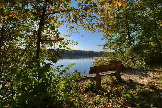 人性＞足球，阿森纳球迷在西汉姆赛前组织了抗议强奸犯活动.
